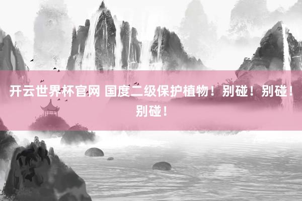 開云世界杯官網(wǎng) 國度二級保護植物！別碰！別碰！別碰！