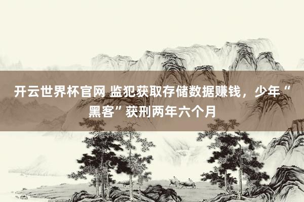 開云世界杯官網(wǎng) 監(jiān)犯獲取存儲(chǔ)數(shù)據(jù)賺錢,少年“黑客”獲刑兩年六個(gè)月